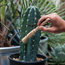 画像をギャラリービューアに読み込む, ブラシ ペン | BRUSH PEN