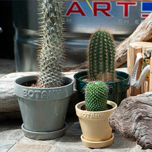 画像をギャラリービューアに読み込む, ボタニー ポット 3 | BOTANY POT 3