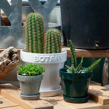 画像をギャラリービューアに読み込む, ボタニー ポット 3 | BOTANY POT 3