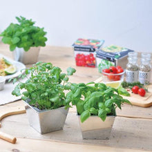 画像をギャラリービューアに読み込む, デリッシュガーデン