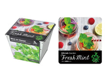 画像をギャラリービューアに読み込む, デリッシュガーデン