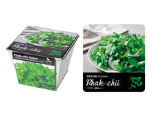 画像をギャラリービューアに読み込む, デリッシュガーデン