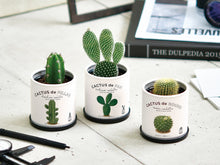 画像をギャラリービューアに読み込む, カクタスde カクタス