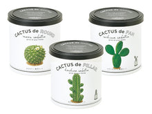 画像をギャラリービューアに読み込む, カクタスde カクタス