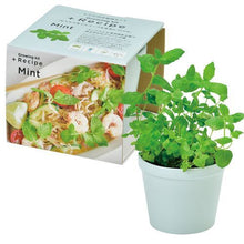 画像をギャラリービューアに読み込む, レシピ付き栽培セット+Recipe