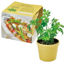 画像をギャラリービューアに読み込む, レシピ付き栽培セット+Recipe