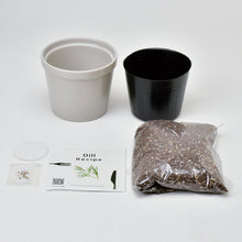 画像をギャラリービューアに読み込む, レシピ付き栽培セット+Recipe