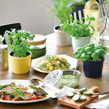 画像をギャラリービューアに読み込む, レシピ付き栽培セット+Recipe