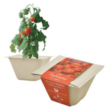 画像をギャラリービューアに読み込む, バガスグリーン