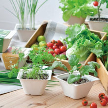 画像をギャラリービューアに読み込む, バガスグリーン