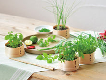 画像をギャラリービューアに読み込む, WAPPA 和っ葉