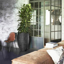 画像をギャラリービューアに読み込む, CAPI トールエレガント リブ 直径40cm×高さ60cm【軽くて環境にやさしい植木鉢】