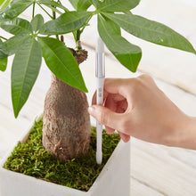 画像をギャラリービューアに読み込む, サスティー(SUSTEE) 水やりチェッカー・観葉植物や鉢花に使える水分計