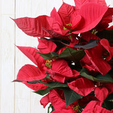 画像をギャラリービューアに読み込む, 【予約商品:11/24発送分】ポインセチア・イタリアンレッド 6号 2段スタンド仕立て