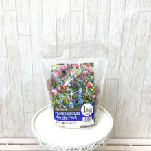 画像をギャラリービューアに読み込む, 【11/25発送】チューリップ &ムスカリ ミックスカラー 球根 1kg