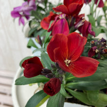 画像をギャラリービューアに読み込む, 【予約商品:1/18発送】エリシマム・カクテルパーティー 花苗3ポットセット