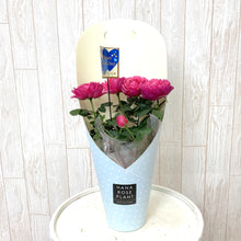 画像をギャラリービューアに読み込む, 【予約商品:3/11発送】ミニバラ・ホワイトソワレ 1鉢