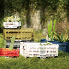 画像をギャラリービューアに読み込む, フォールディング メッシュ ストレージ 11L | FOLDING MESH STORAGE 11L