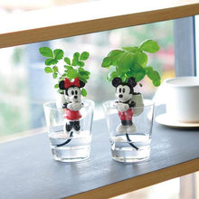 画像をギャラリービューアに読み込む, 栽培キット グローテール ミッキーマウス ミニーマウス