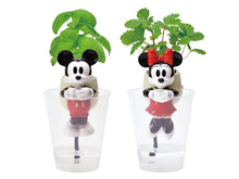 画像をギャラリービューアに読み込む, 栽培キット グローテール ミッキーマウス ミニーマウス