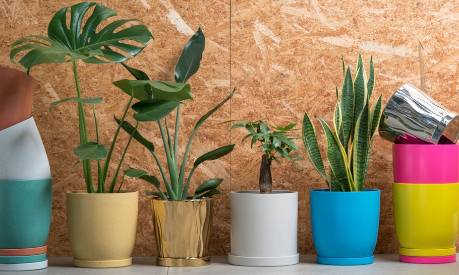 おすすめのおしゃれ植木鉢を厳選！屋外にも置けて機能的な鉢はどれ？