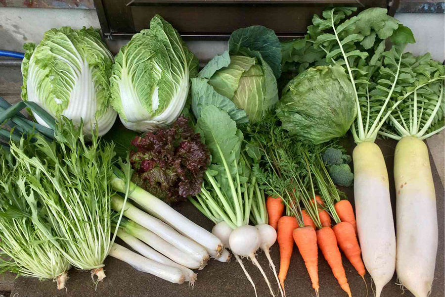 【秋に植える野菜一覧】育てやすい秋植え野菜と植える時期を紹介