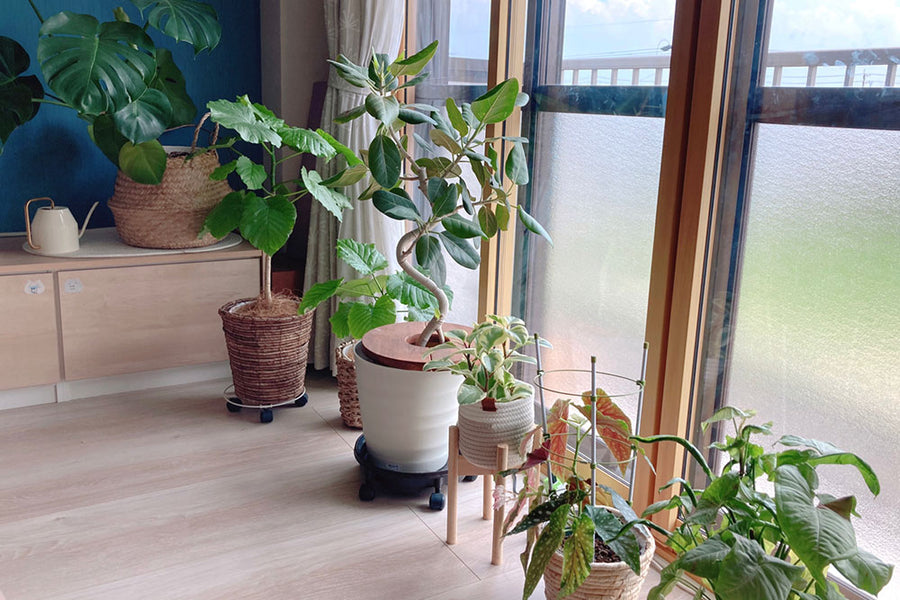 観葉植物用フラワースタンドの選び方紹介！おしゃれに置くコツは？