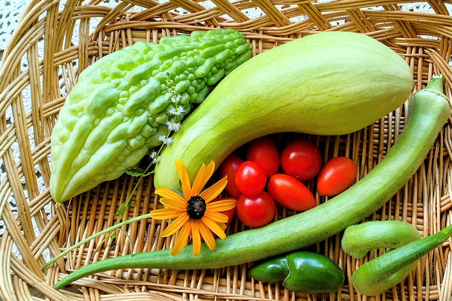 【7月に植える野菜一覧】初心者でも育てやすいものはどれ？