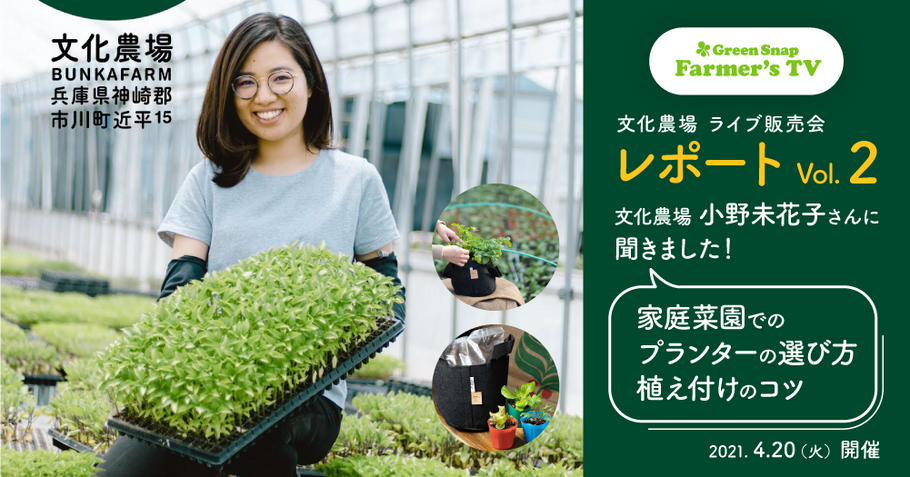 生産者に聞く、家庭菜園のプランターの選び方・植え付けのコツ