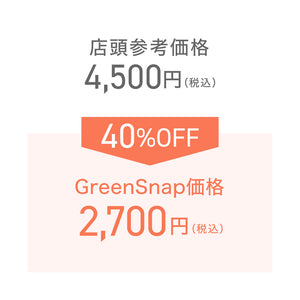 フィッシュボーン・カクタス 5号 吊鉢　