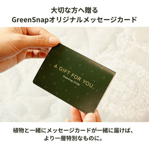 GreenSnapオリジナル メッセージカード　ギフトにおすすめ