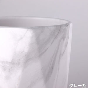 ヒメモンステラ 5号 おしゃれなマーブル陶器鉢カバーセット