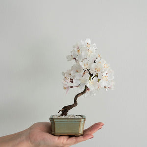 ドライ盆栽®桜　ミニ　※桜の花はフェイクフラワーです