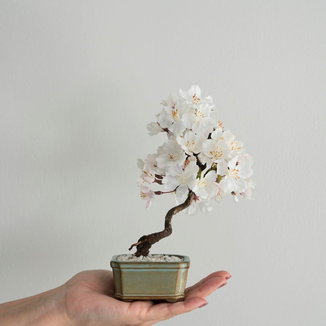 ドライ盆栽®桜　ミニ　※桜の花はフェイクフラワーです