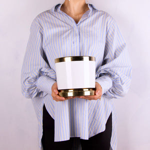 ヒメモンステラ 5号 ゴールドライン陶器鉢カバーセット