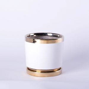 ヒメモンステラ 5号 ゴールドライン陶器鉢カバーセット&ポットスタンドセット