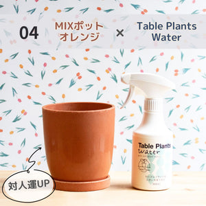 【Table Plantsにぴったり！】リサイクルMIXポット+Table Plants Waterセット