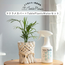 画像をギャラリービューアに読み込む, ギフトにおすすめ！【土を使わない観葉植物】テーブルプランツ (Table Plants) ×マクラメカバー×Table Plants Water(テーブルプランツウォーター)セット
