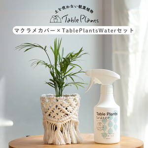 ギフトにおすすめ！【土を使わない観葉植物】テーブルプランツ (Table Plants) ×マクラメカバー×Table Plants Water(テーブルプランツウォーター)セット
