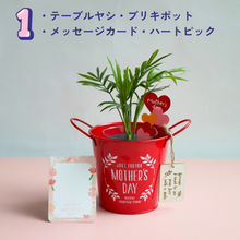 画像をギャラリービューアに読み込む, 【母の日ギフト】土を使わない観葉植物テーブルプランツ(Table Plants) ブリキポットセット
