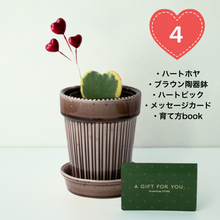 画像をギャラリービューアに読み込む, 【土を使わない観葉植物】テーブルプランツ（Table Plants）ハートホヤ バレンタイン鉢セット数量限定
