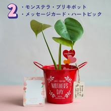 画像をギャラリービューアに読み込む, 【母の日ギフト】土を使わない観葉植物テーブルプランツ(Table Plants) ブリキポットセット
