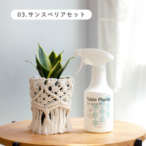 ギフトにおすすめ！【土を使わない観葉植物】テーブルプランツ (Table Plants) ×マクラメカバー×Table Plants Water(テーブルプランツウォーター)セット