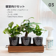 画像をギャラリービューアに読み込む, 【土を使わない観葉植物】 テーブルプランツ(Table Plants) 3種+アカシア素材ケースセット ※Water付き
