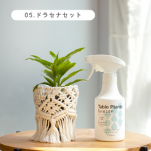 画像をギャラリービューアに読み込む, ギフトにおすすめ！【土を使わない観葉植物】テーブルプランツ (Table Plants) ×マクラメカバー×Table Plants Water(テーブルプランツウォーター)セット
