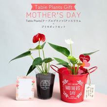 画像をギャラリービューアに読み込む, 【母の日ギフト】土を使わない観葉植物 テーブルプランツ(Table Plants)アンスリウム×ブリキポットセット
