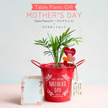 画像をギャラリービューアに読み込む, 【母の日ギフト】土を使わない観葉植物テーブルプランツ(Table Plants) ブリキポットセット
