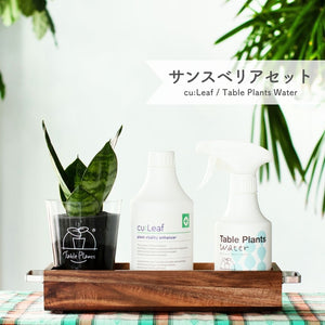 ※予約商品：10/4以降発送※【アカシア素材ケース付き】テーブルプランツ(Table Plants) +2種の活力剤セット（cu:Leaf / Table Plants Water ）　※土を使わない観葉植物