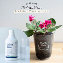 画像をギャラリービューアに読み込む, 【土を使わない鉢花】テーブルプランツ(Table Plants) セントポーリア×cu:Leaf®(キュリーフ)500mlセット ※数量限定/予約商品
