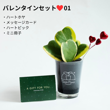 画像をギャラリービューアに読み込む, 【土を使わない観葉植物】テーブルプランツ（Table Plants）ハートホヤ（枝付き） バレンタインセット数量限定
